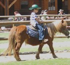 Reiten am Gardasee fr Kindern